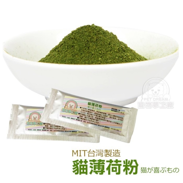 貓薄荷1
